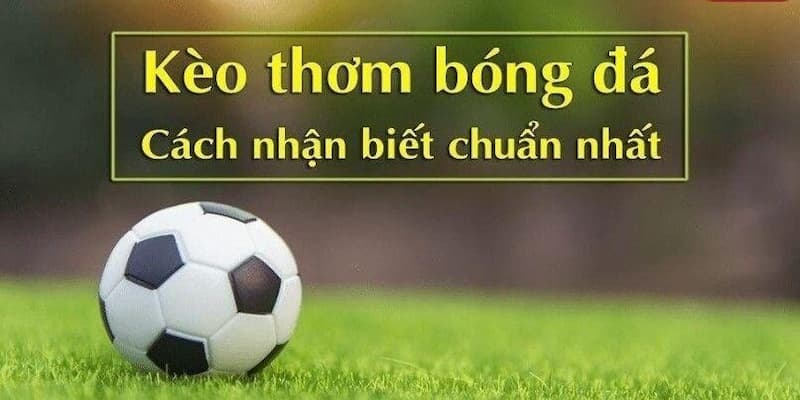 Hướng dẫn cách nhận biết kèo thơm